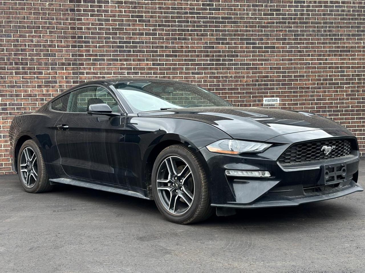 2020 Ford Mustang ECOBOOST PREMIUM, LEATHER, NAVI, BACKUP CAM Photo