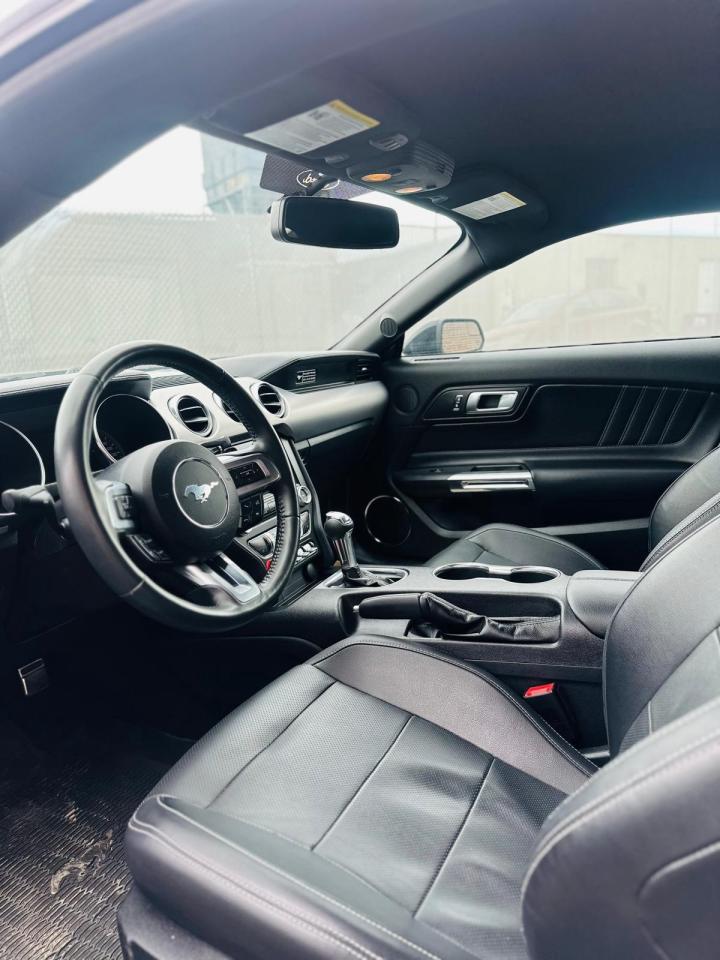 2020 Ford Mustang ECOBOOST PREMIUM, LEATHER, NAVI, BACKUP CAM Photo