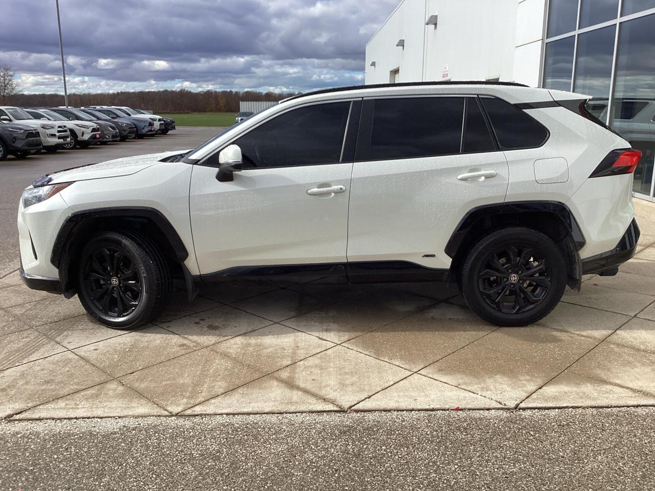 2022 Toyota RAV4 Hybrid SE AWD Photo