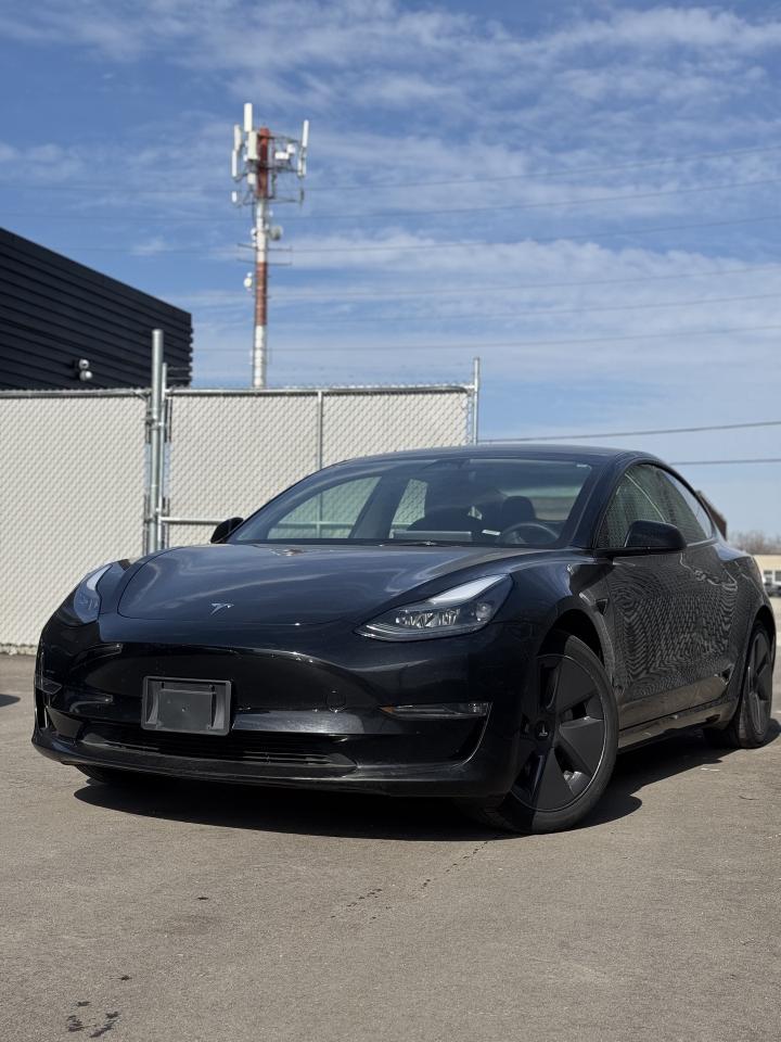 2023 Tesla Model 3 Long Range AWD Photo