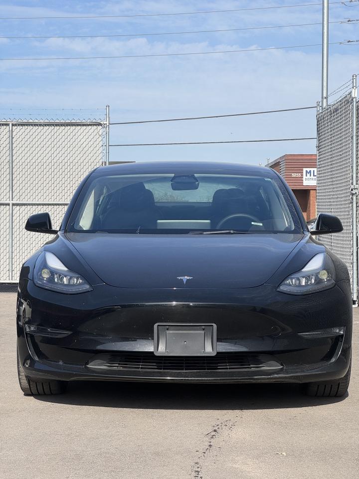 2023 Tesla Model 3 Long Range AWD Photo