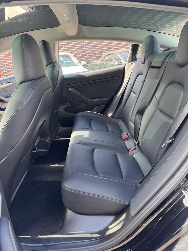 2023 Tesla Model 3 Long Range AWD Photo