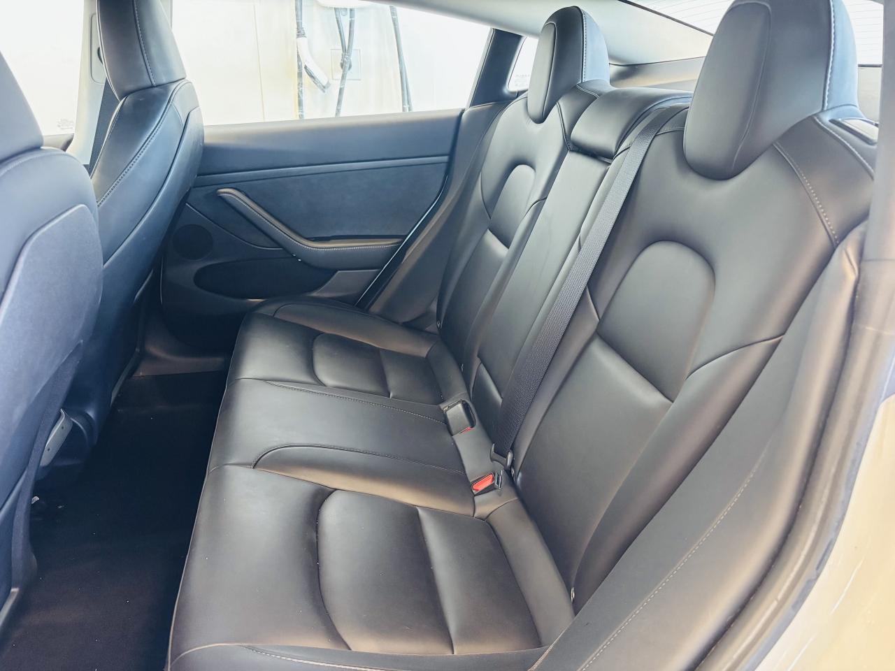 2023 Tesla Model 3 LONG RANGE AWD   ONE OWNER   CLEAN CARFAX   NAVI! Photo