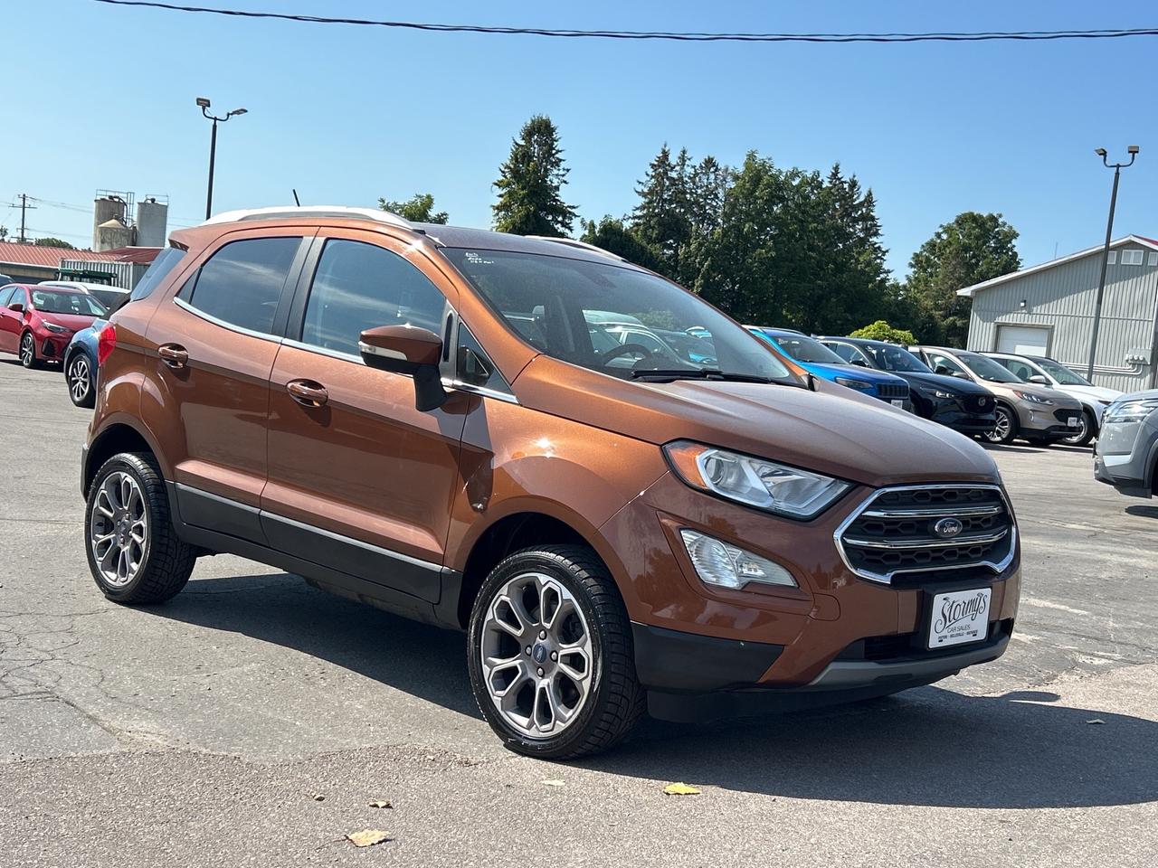 2020 Ford EcoSport Titanium AWD/LEATHER/NAV/ROOF**BELLEVILLE** Photo
