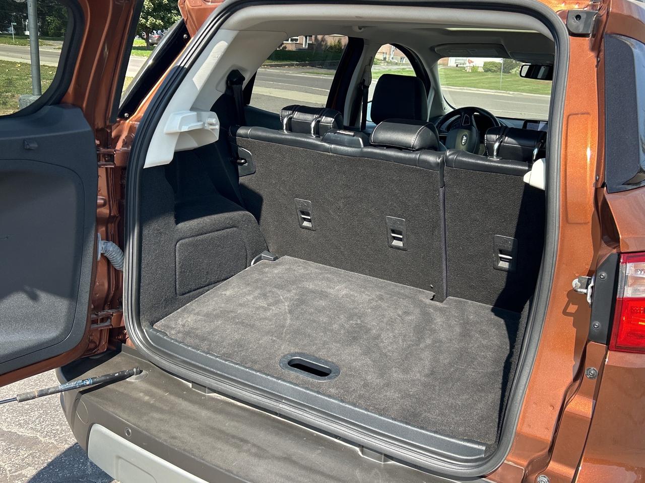 2020 Ford EcoSport Titanium AWD/LEATHER/NAV/ROOF**BELLEVILLE** Photo