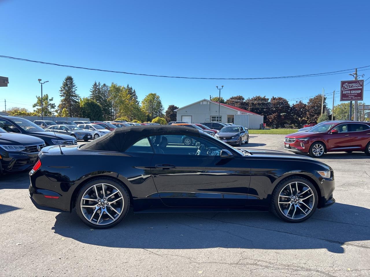 2017 Ford Mustang EcoBoost Premium LEATHER/NAV CALL BELLEVILLE Photo