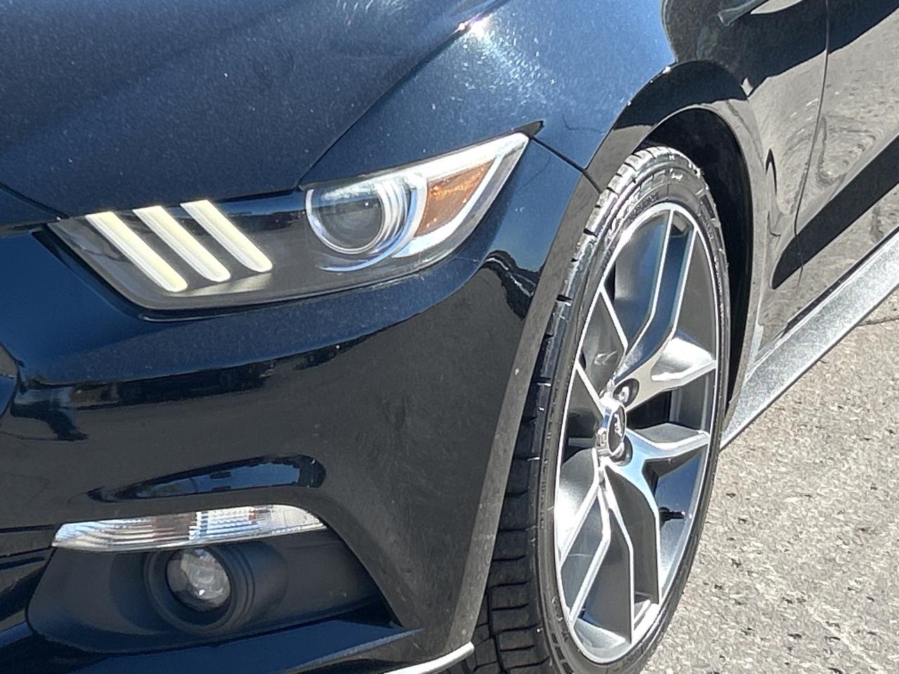 2017 Ford Mustang EcoBoost Premium LEATHER/NAV CALL BELLEVILLE Photo