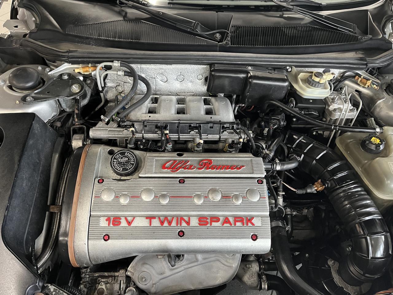 1996 Alfa Romeo Spider  Photo