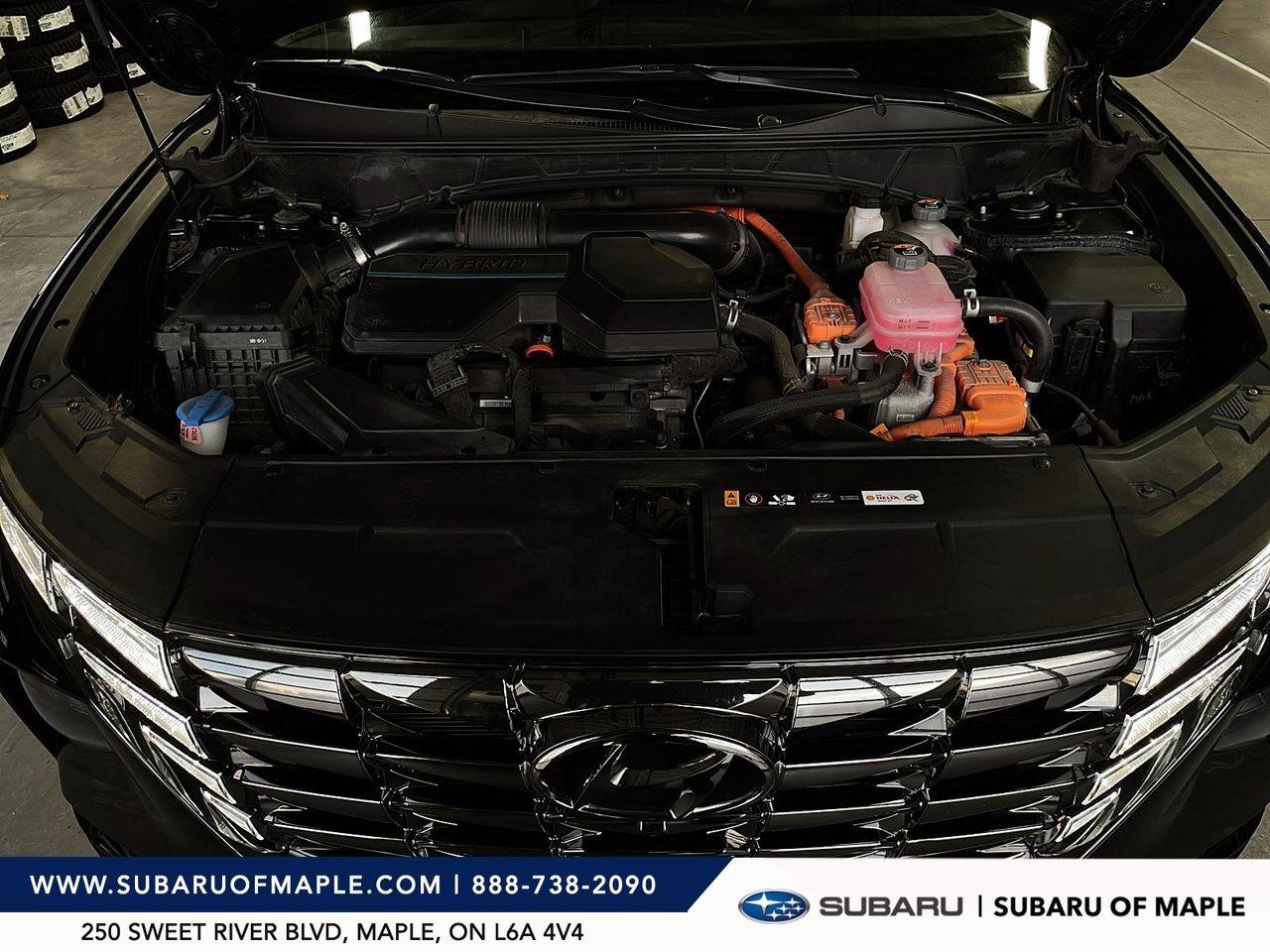 2024 Hyundai Tucson Hybrid Ultimate Photo