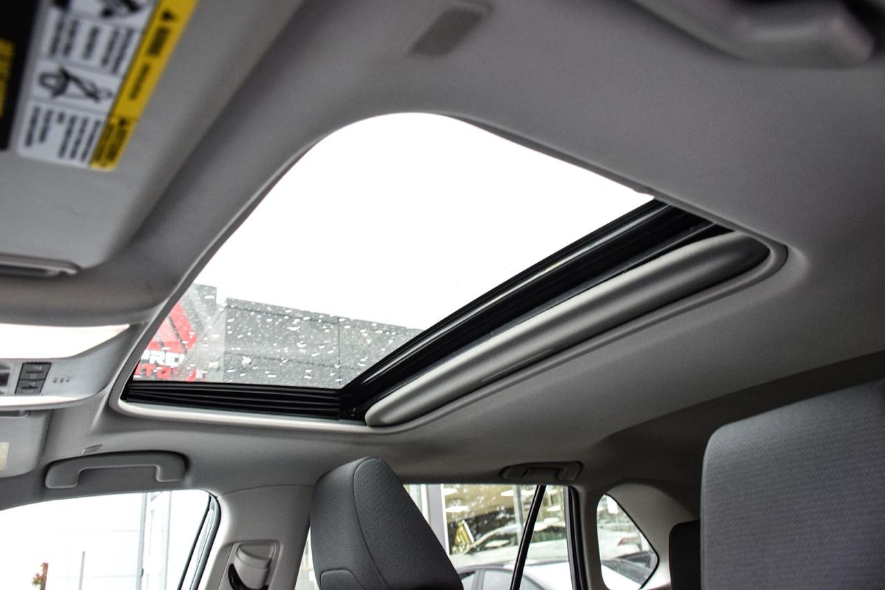 2024 Toyota RAV4 XLE AWD / NO ACCIDENT /SUNROOF / CARPLAY / BSM Photo