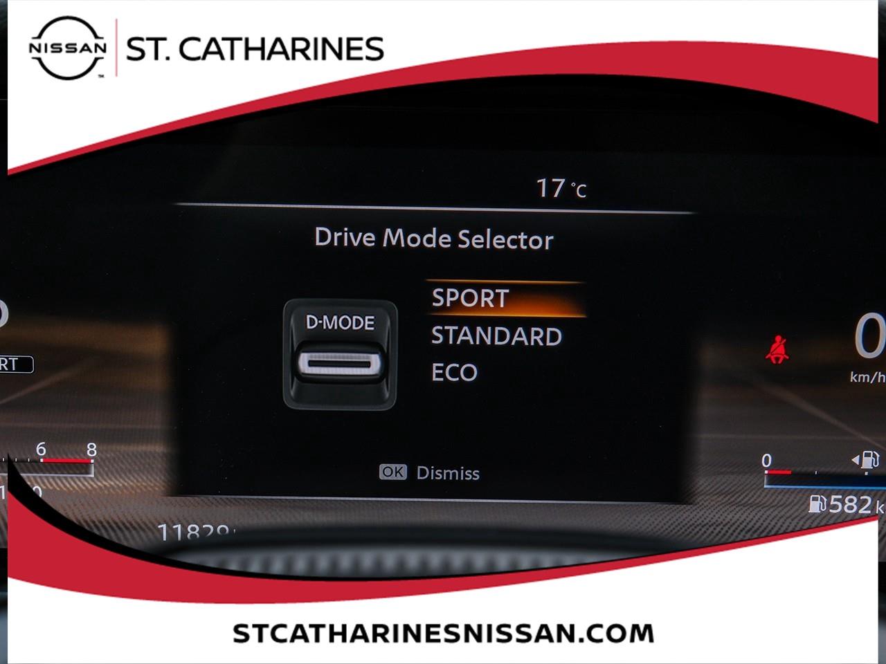 2025 Nissan Murano Platinum Photo