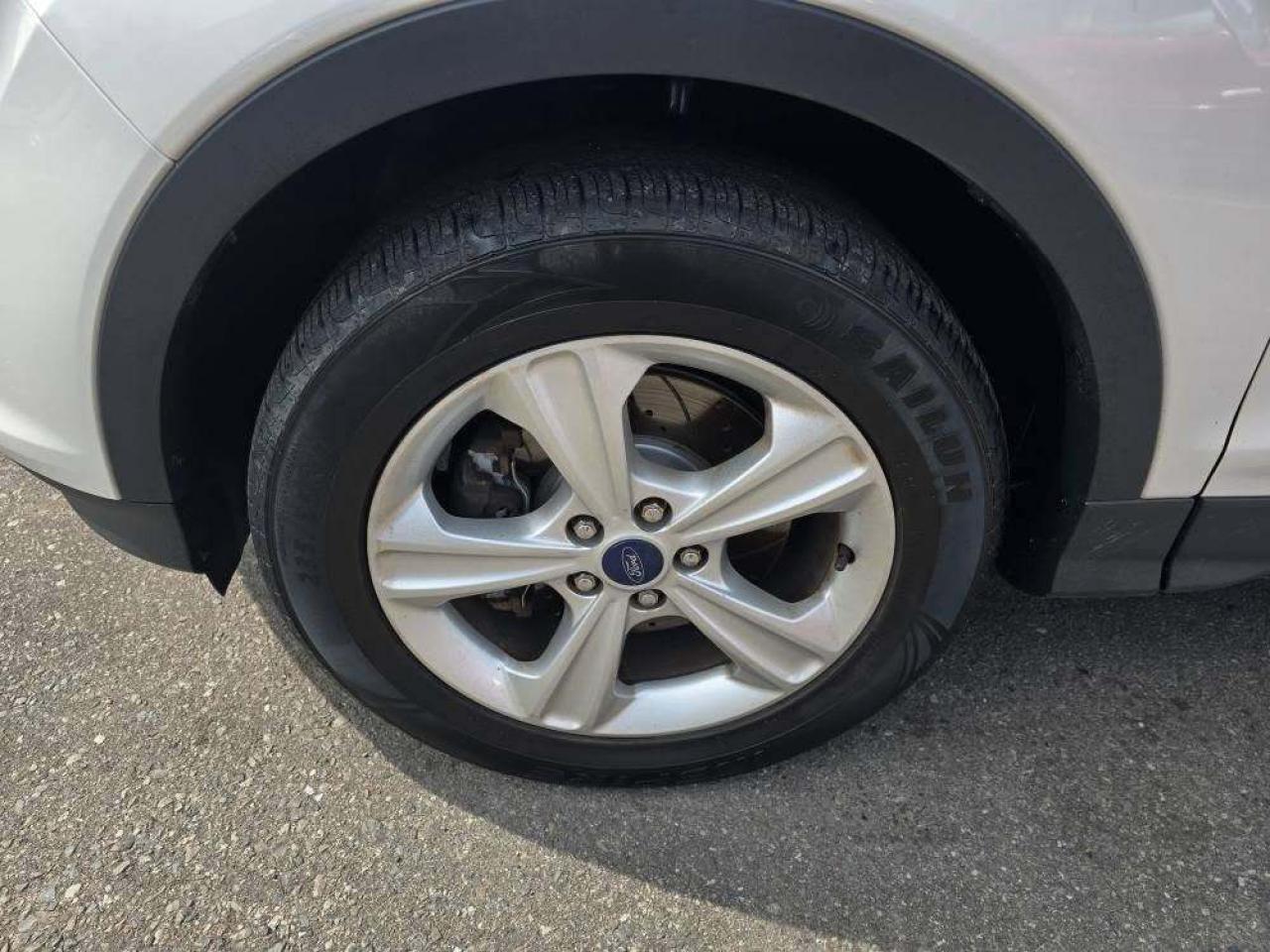 2014 Ford Escape 4WD 4dr SE Photo