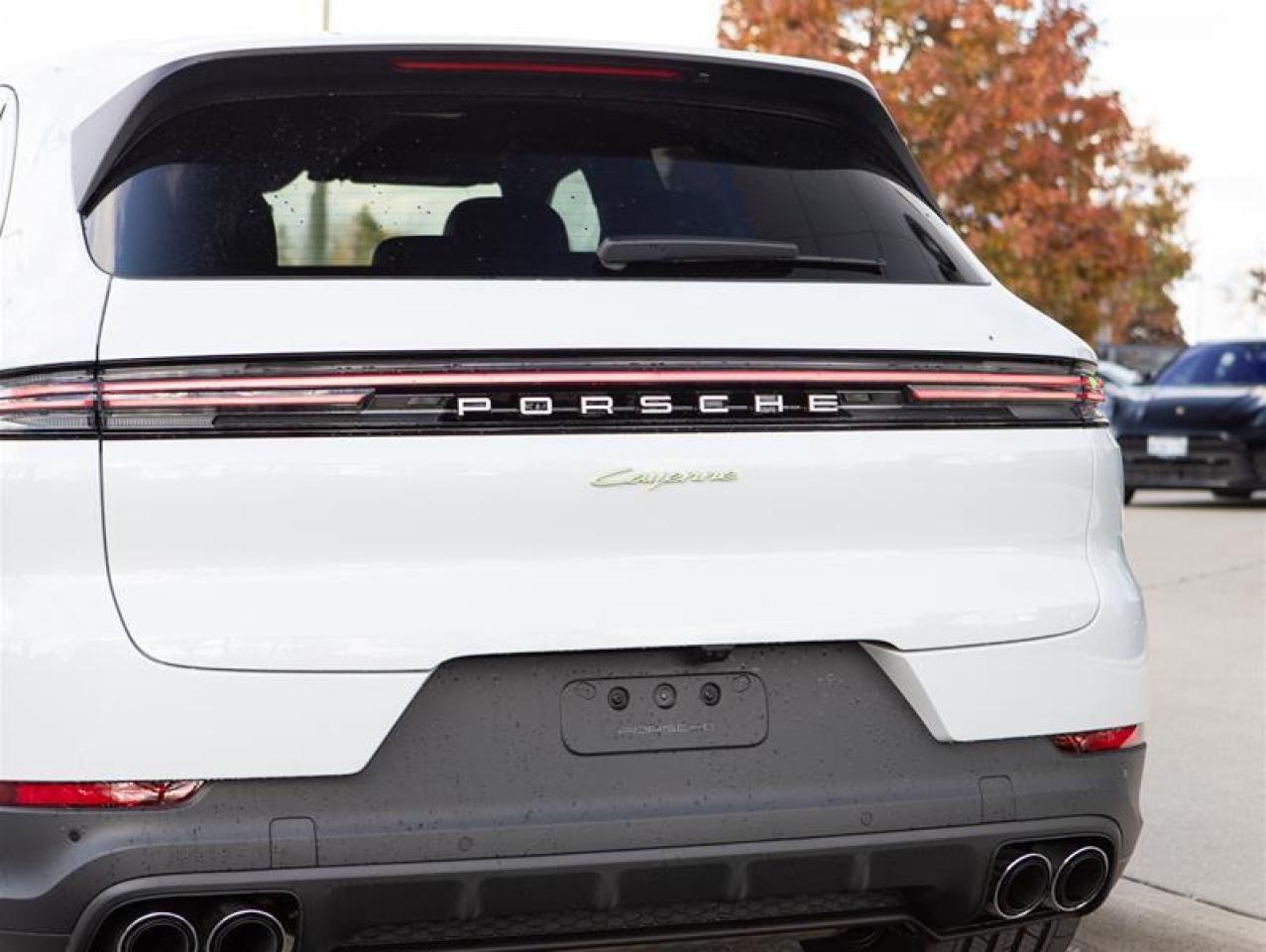 2025 Porsche Cayenne e-Hybrid AWD Photo