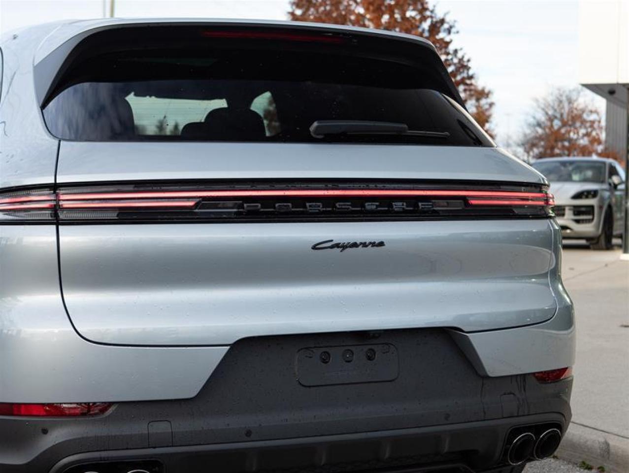 2025 Porsche Cayenne e-Hybrid AWD Photo