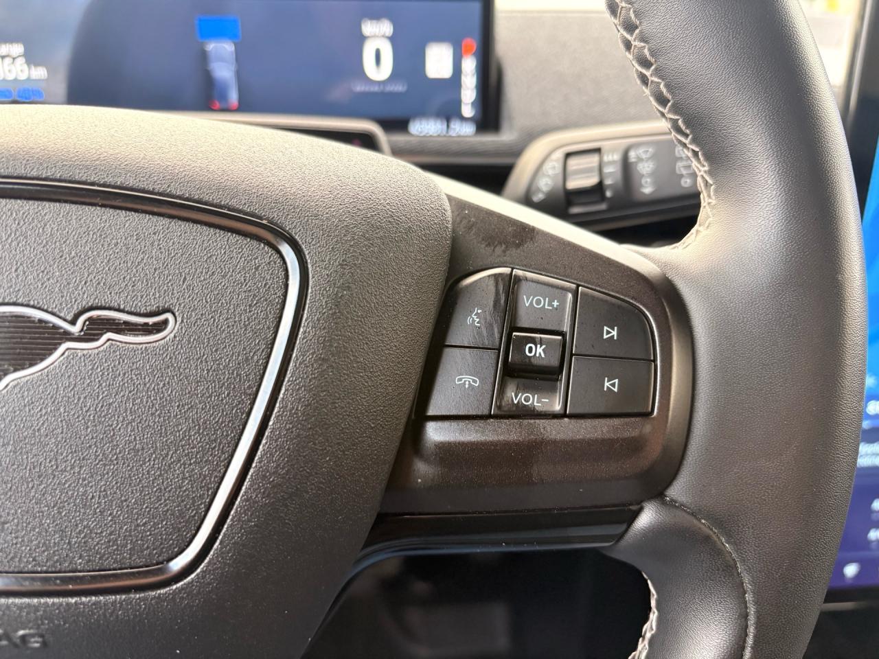 2022 Ford Mustang Mach-E GT Performance Edition AWD Photo