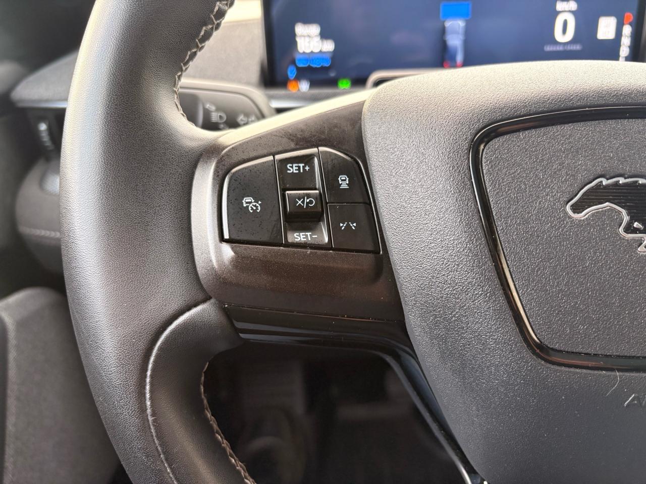 2022 Ford Mustang Mach-E GT Performance Edition AWD Photo