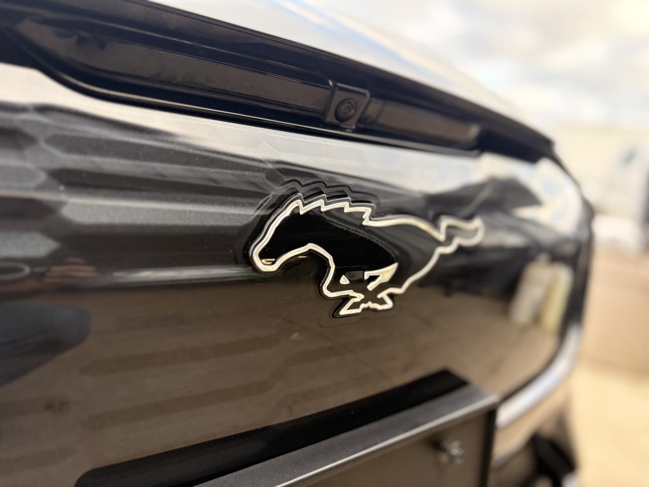 2022 Ford Mustang Mach-E GT Performance Edition AWD Photo