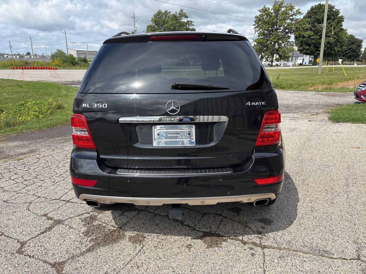 2010 Mercedes-Benz M-Class 4MATIC 4dr ML 350 Photo