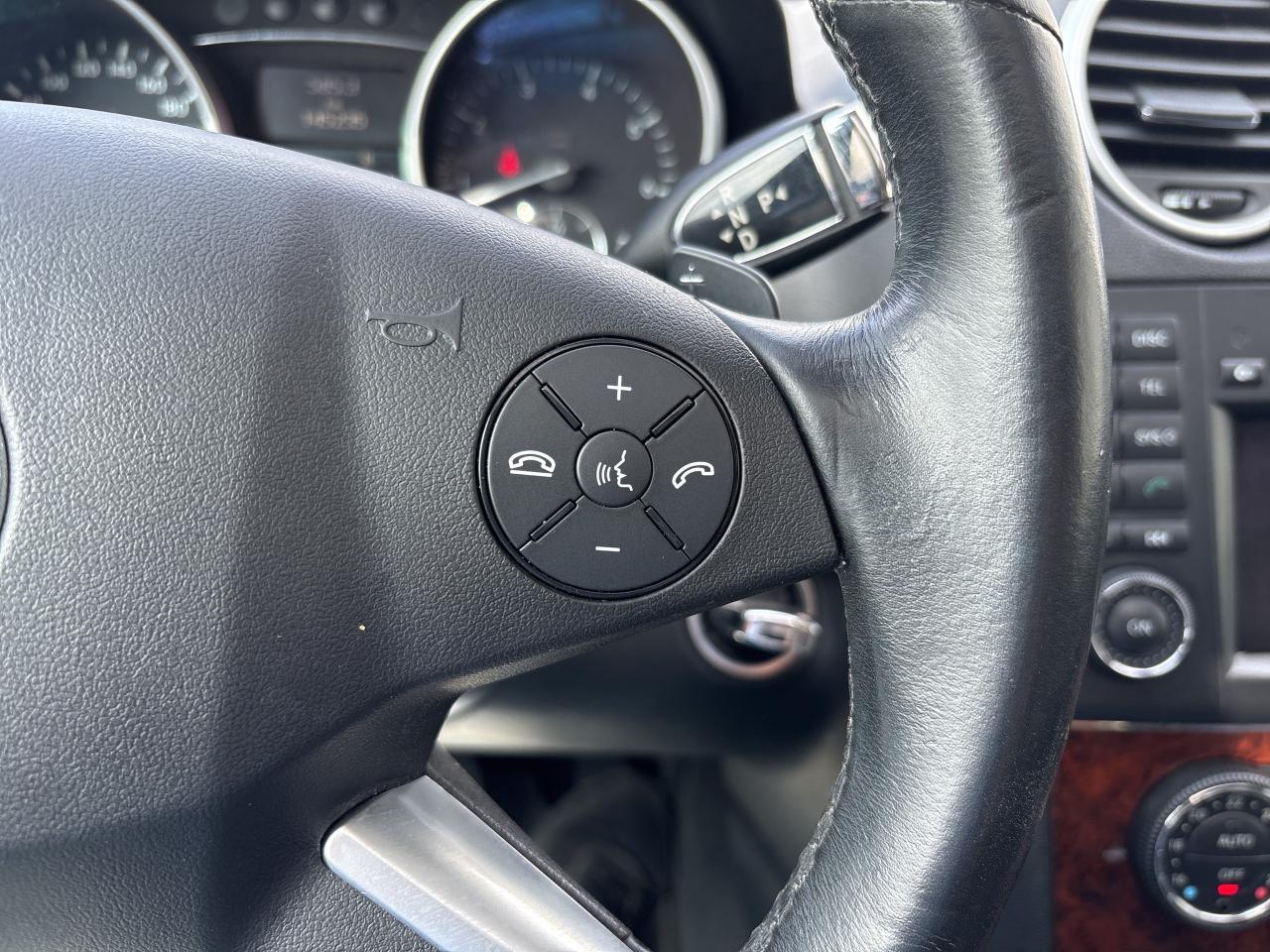 2010 Mercedes-Benz M-Class 4MATIC 4dr ML 350 Photo