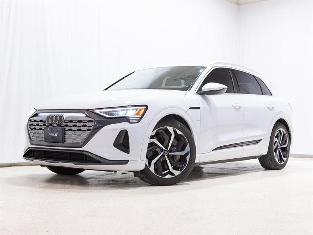 2024 Audi Q8 e-tron quattro Photo0