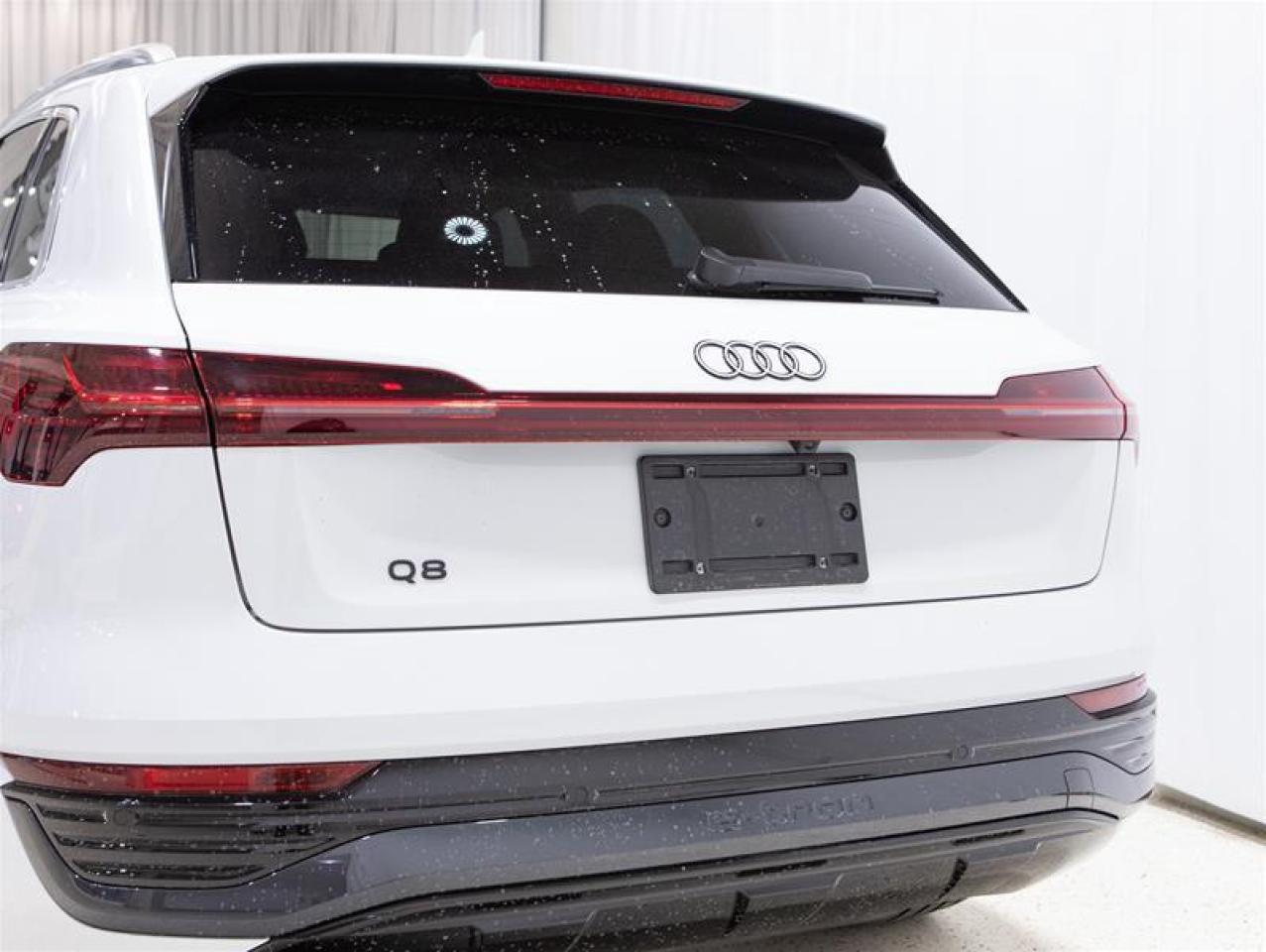 2024 Audi Q8 e-tron quattro Photo