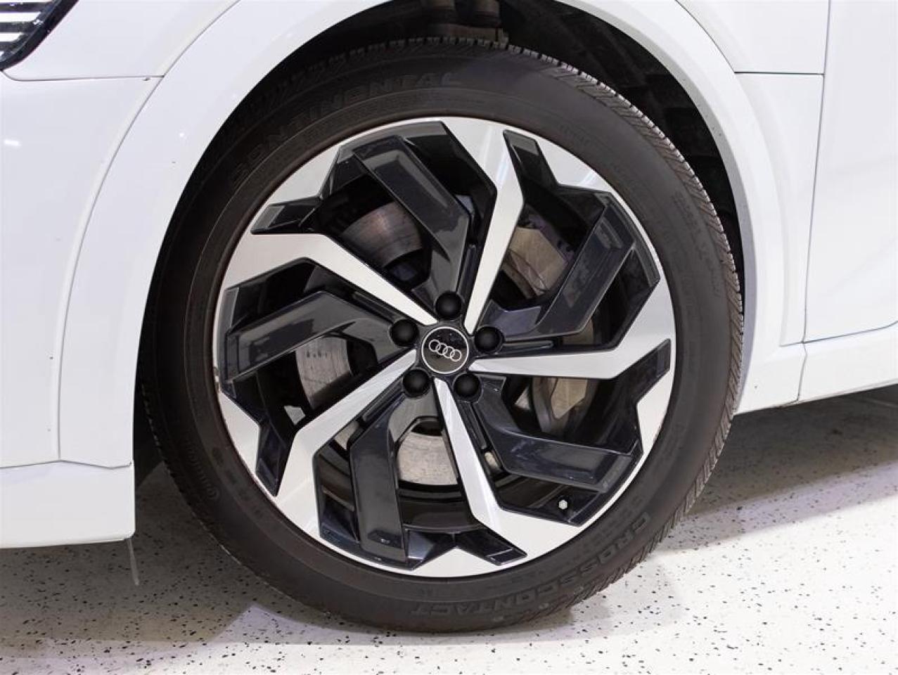 2024 Audi Q8 e-tron quattro Photo