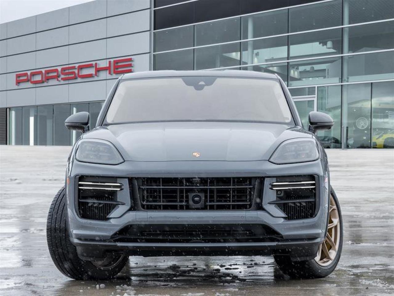 2024 Porsche Cayenne Turbo GT Coupe AWD CPO Bespoke Door-Sill Guards in Photo