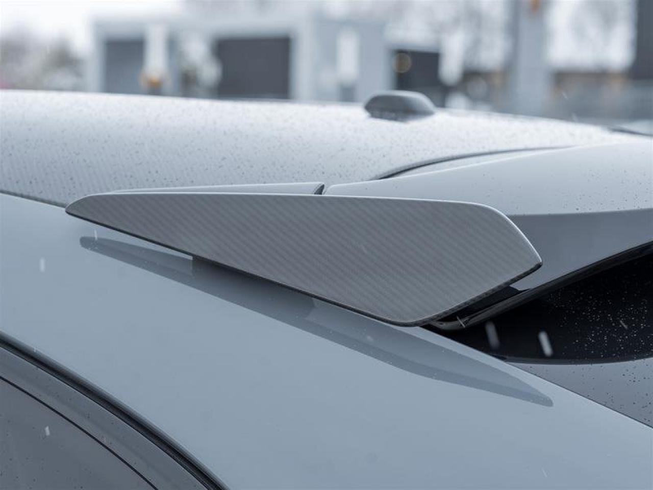 2024 Porsche Cayenne Turbo GT Coupe AWD CPO Bespoke Door-Sill Guards in Photo