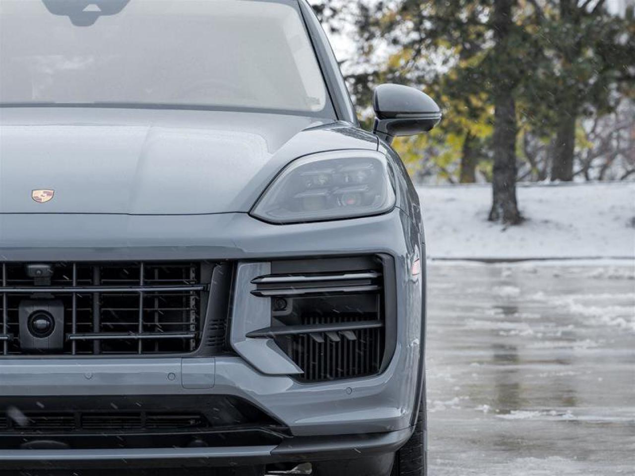 2024 Porsche Cayenne Turbo GT Coupe AWD CPO Bespoke Door-Sill Guards in Photo