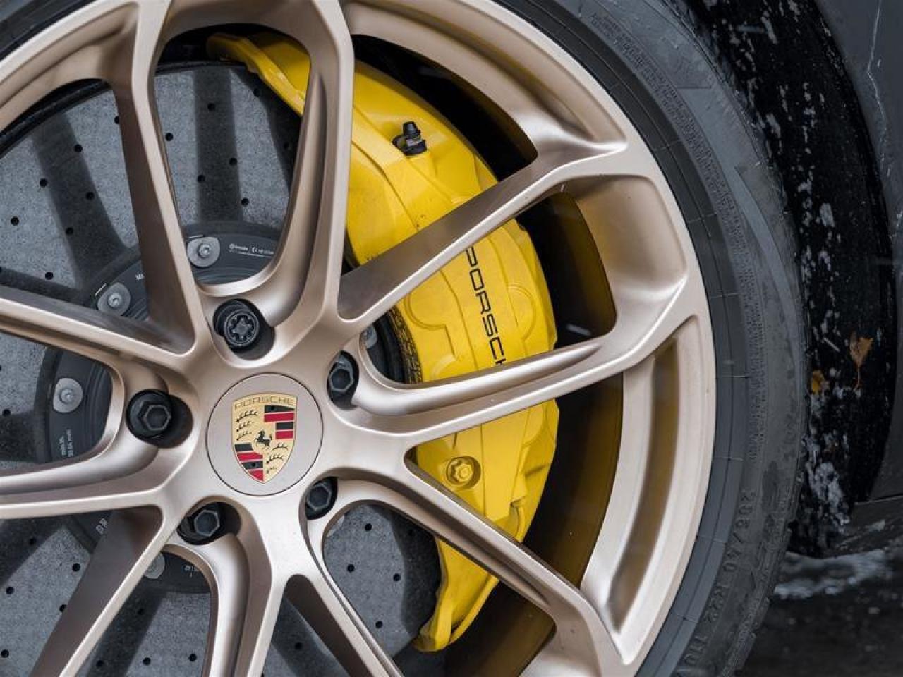 2024 Porsche Cayenne Turbo GT Coupe AWD CPO Bespoke Door-Sill Guards in Photo