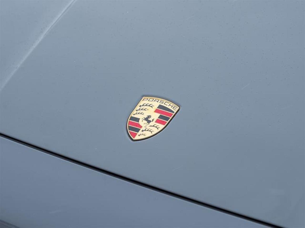 2024 Porsche Cayenne Turbo GT Coupe AWD CPO Bespoke Door-Sill Guards in Photo