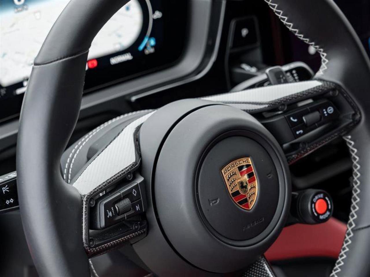 2024 Porsche Cayenne Turbo GT Coupe AWD CPO Bespoke Door-Sill Guards in Photo