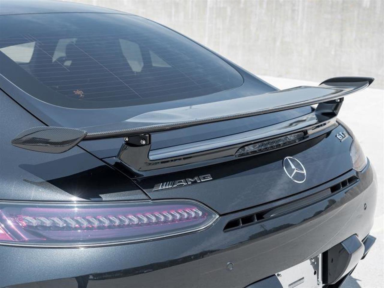 2020 Mercedes-Benz AMG GT AMG GT R Coupe AMG Exterior Carbon Pkg AMG Matte C Photo