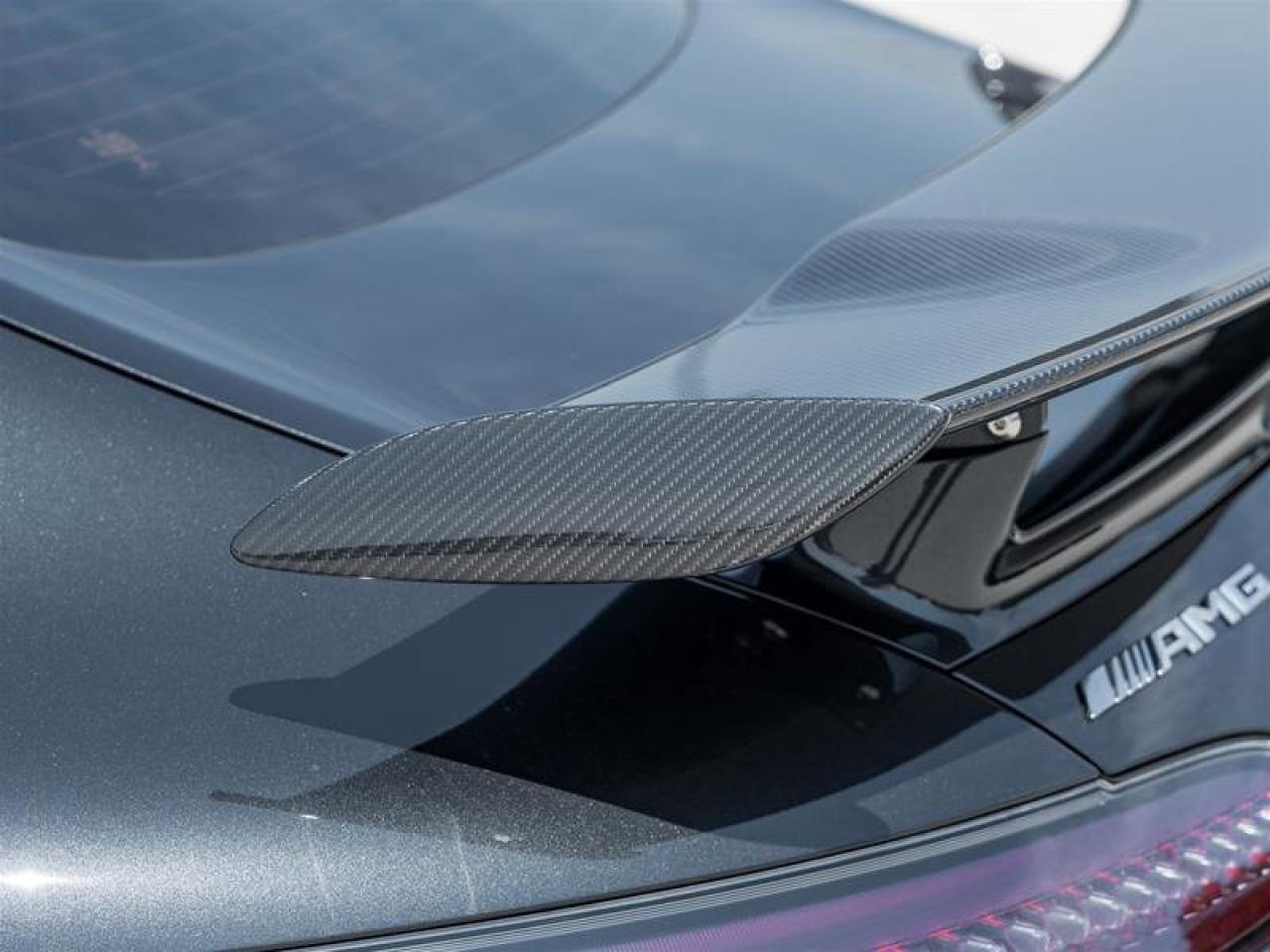 2020 Mercedes-Benz AMG GT AMG GT R Coupe AMG Exterior Carbon Pkg AMG Matte C Photo