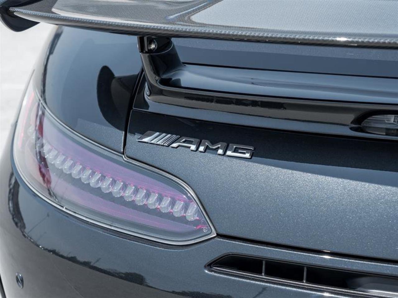 2020 Mercedes-Benz AMG GT AMG GT R Coupe AMG Exterior Carbon Pkg AMG Matte C Photo