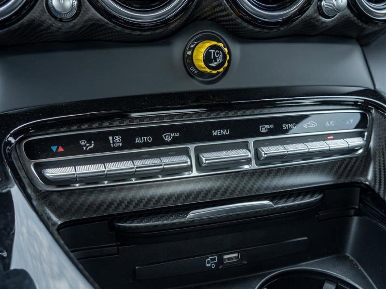 2020 Mercedes-Benz AMG GT AMG GT R Coupe AMG Exterior Carbon Pkg AMG Matte C Photo