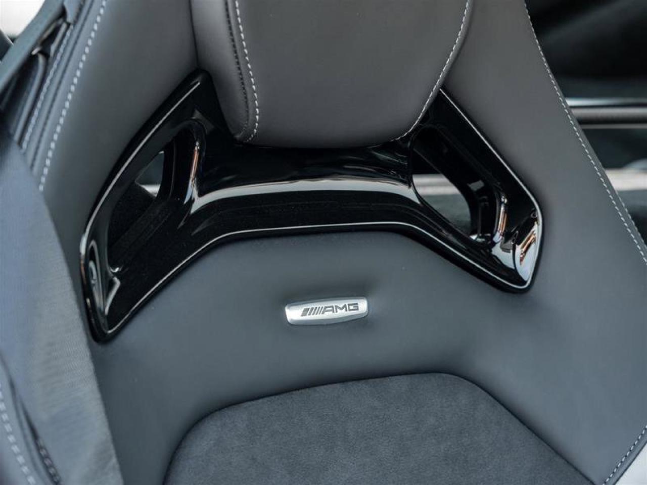 2020 Mercedes-Benz AMG GT AMG GT R Coupe AMG Exterior Carbon Pkg AMG Matte C Photo