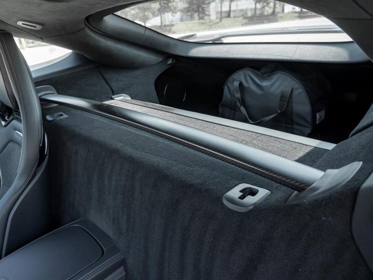 2020 Mercedes-Benz AMG GT AMG GT R Coupe AMG Exterior Carbon Pkg AMG Matte C Photo