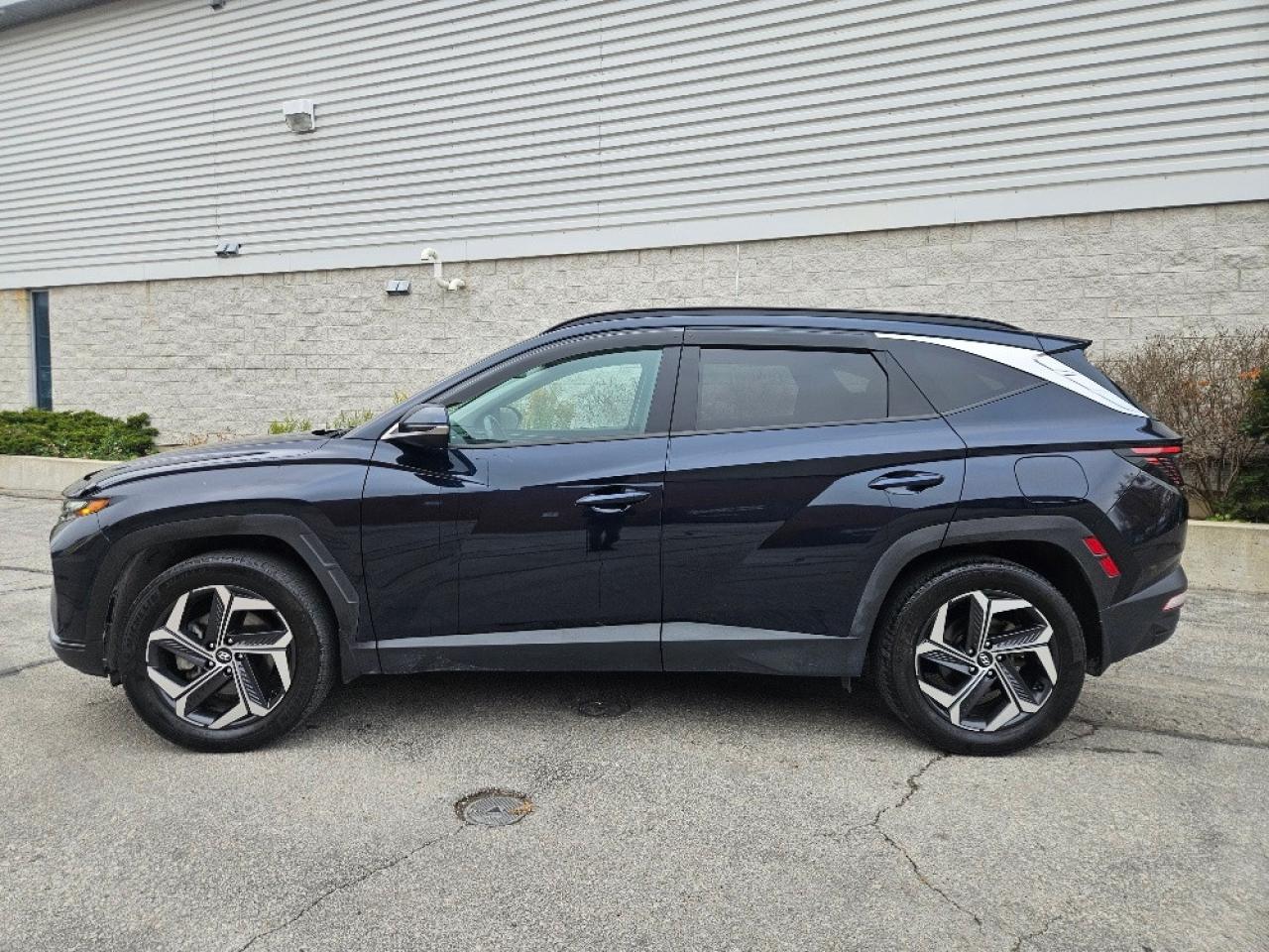 2022 Hyundai Tucson HYBRID LUXURY-LEATHER-SUNROOF-LOADED Photo