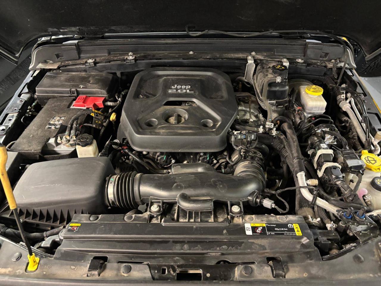 2023 Jeep Wrangler Sahara 4 Door 4x4 $0 % DOWN FINANCE OAC Photo