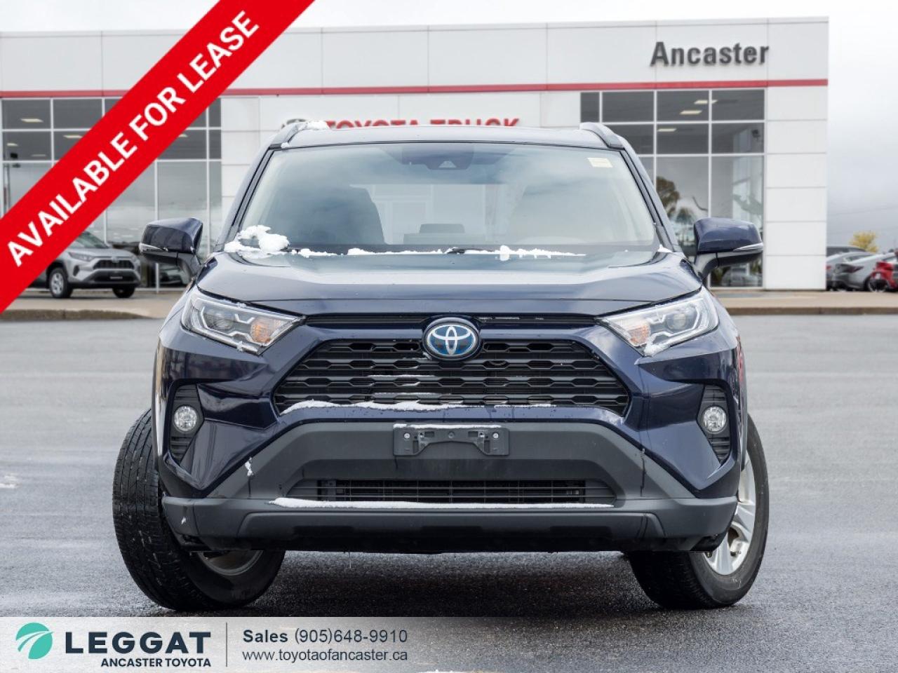 2020 Toyota RAV4 Hybrid Hybrid XLE AWD Photo