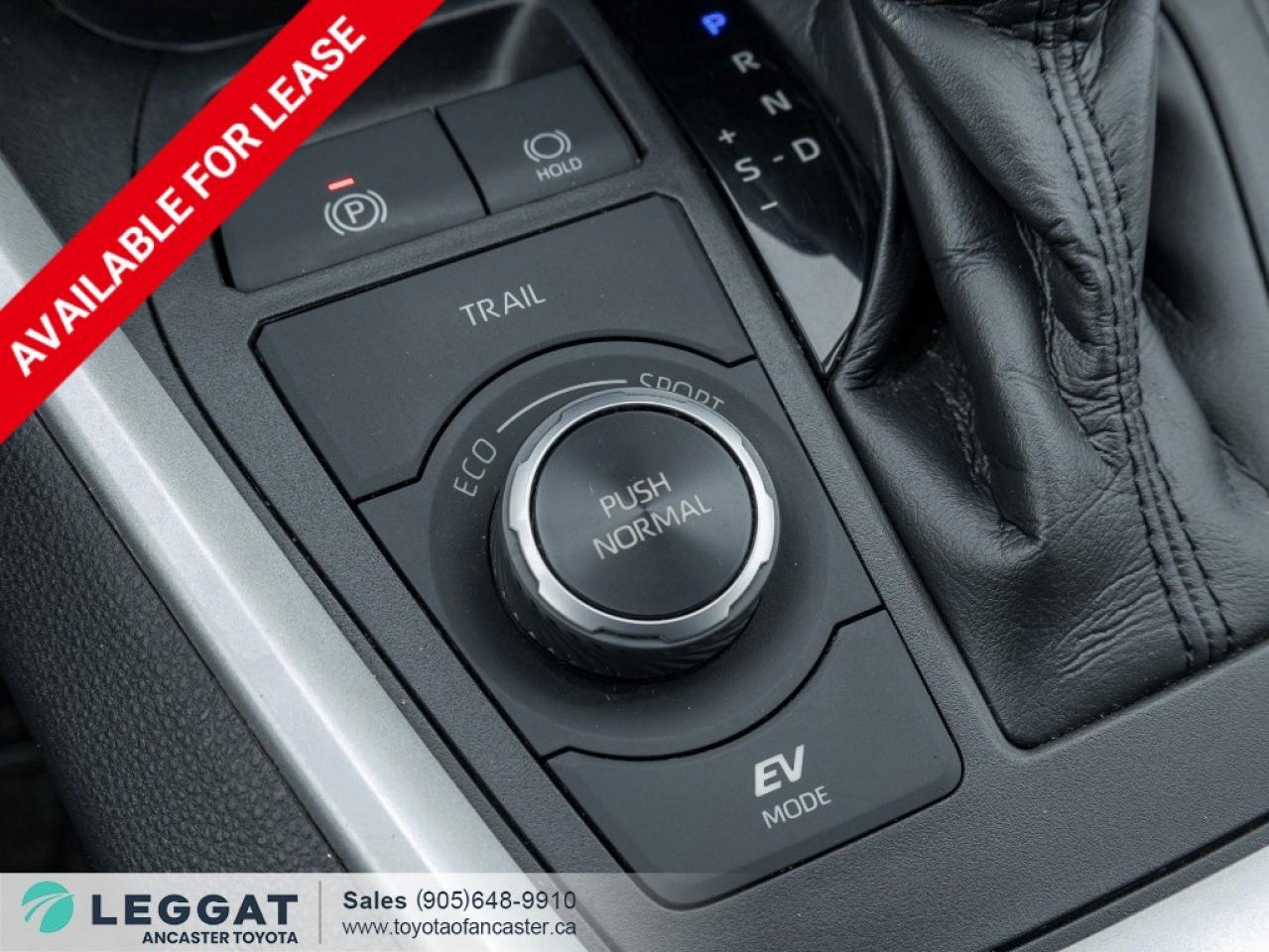 2020 Toyota RAV4 Hybrid Hybrid XLE AWD Photo