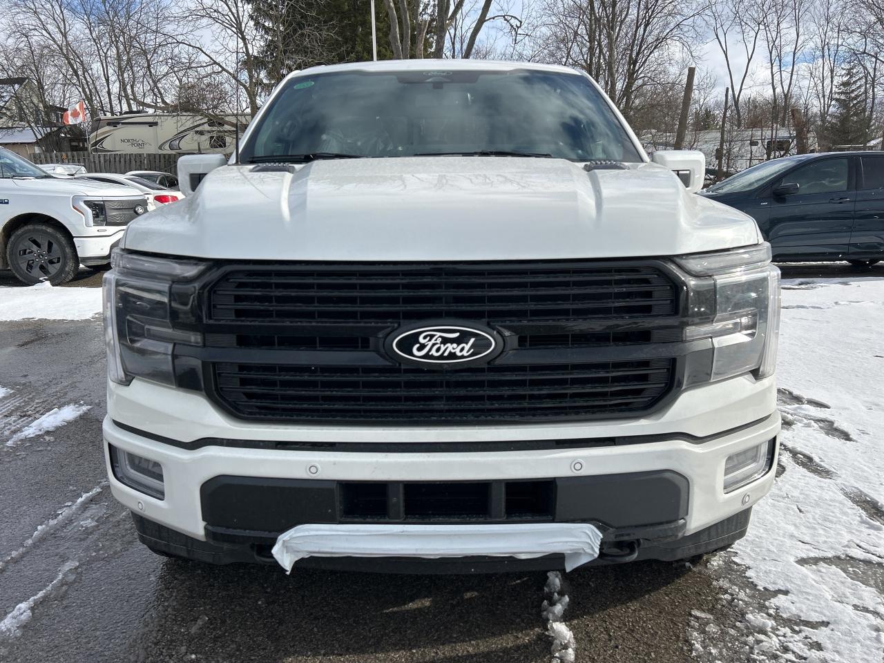 2025 Ford F-150 Platinum  - Bed Liner Photo