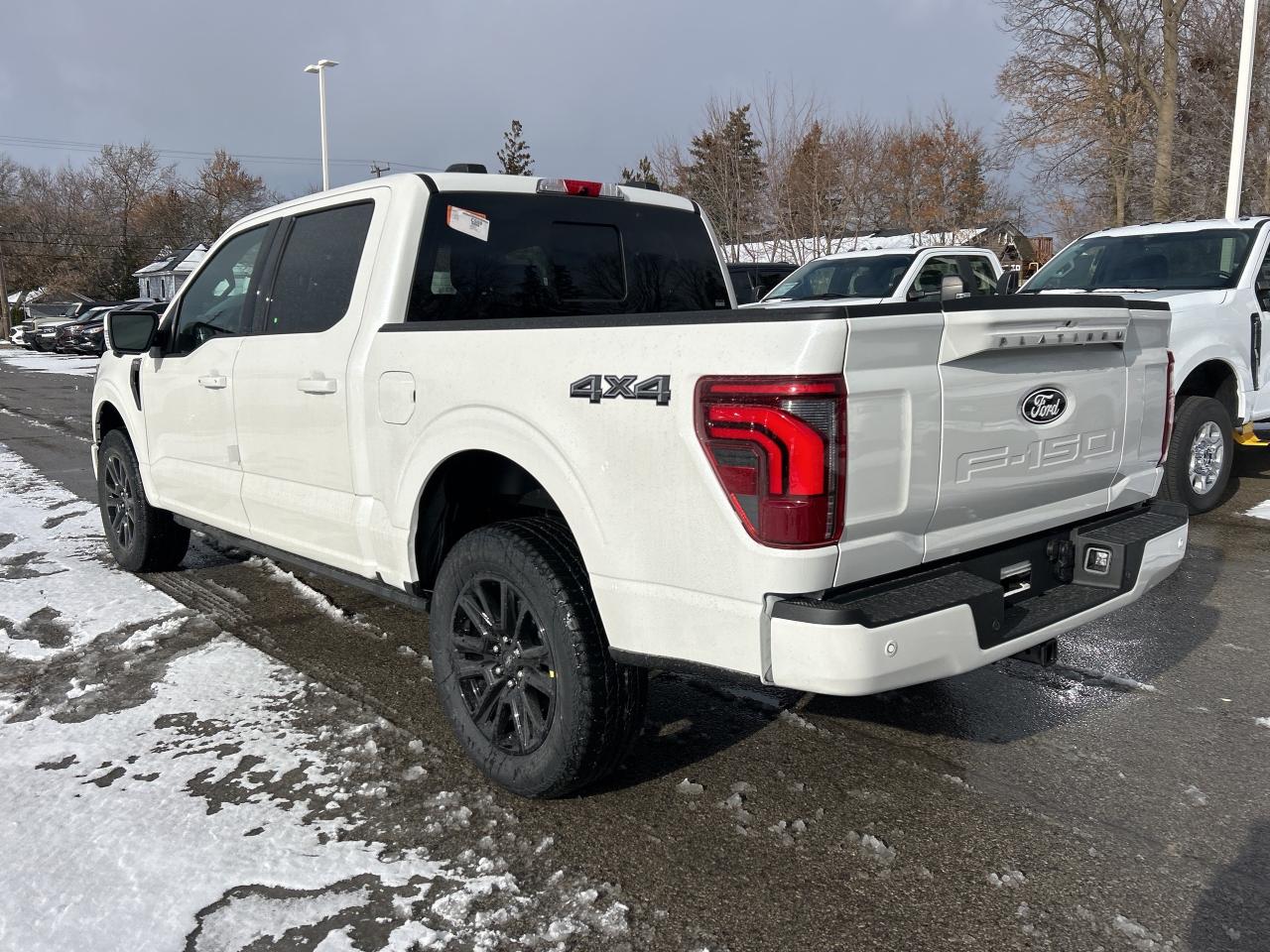 2025 Ford F-150 Platinum  - Bed Liner Photo