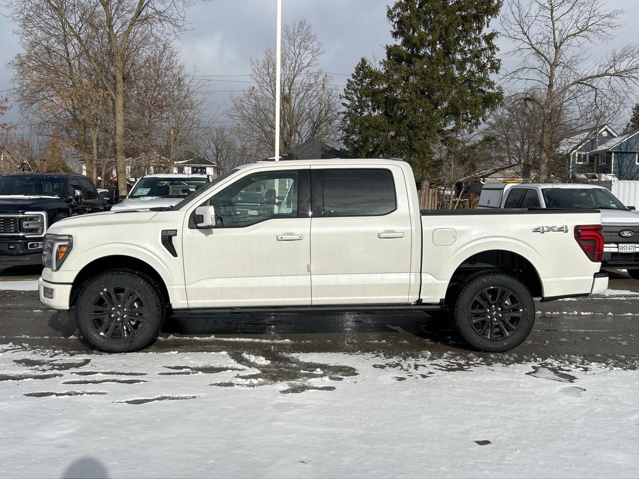 2025 Ford F-150 Platinum  - Bed Liner Photo