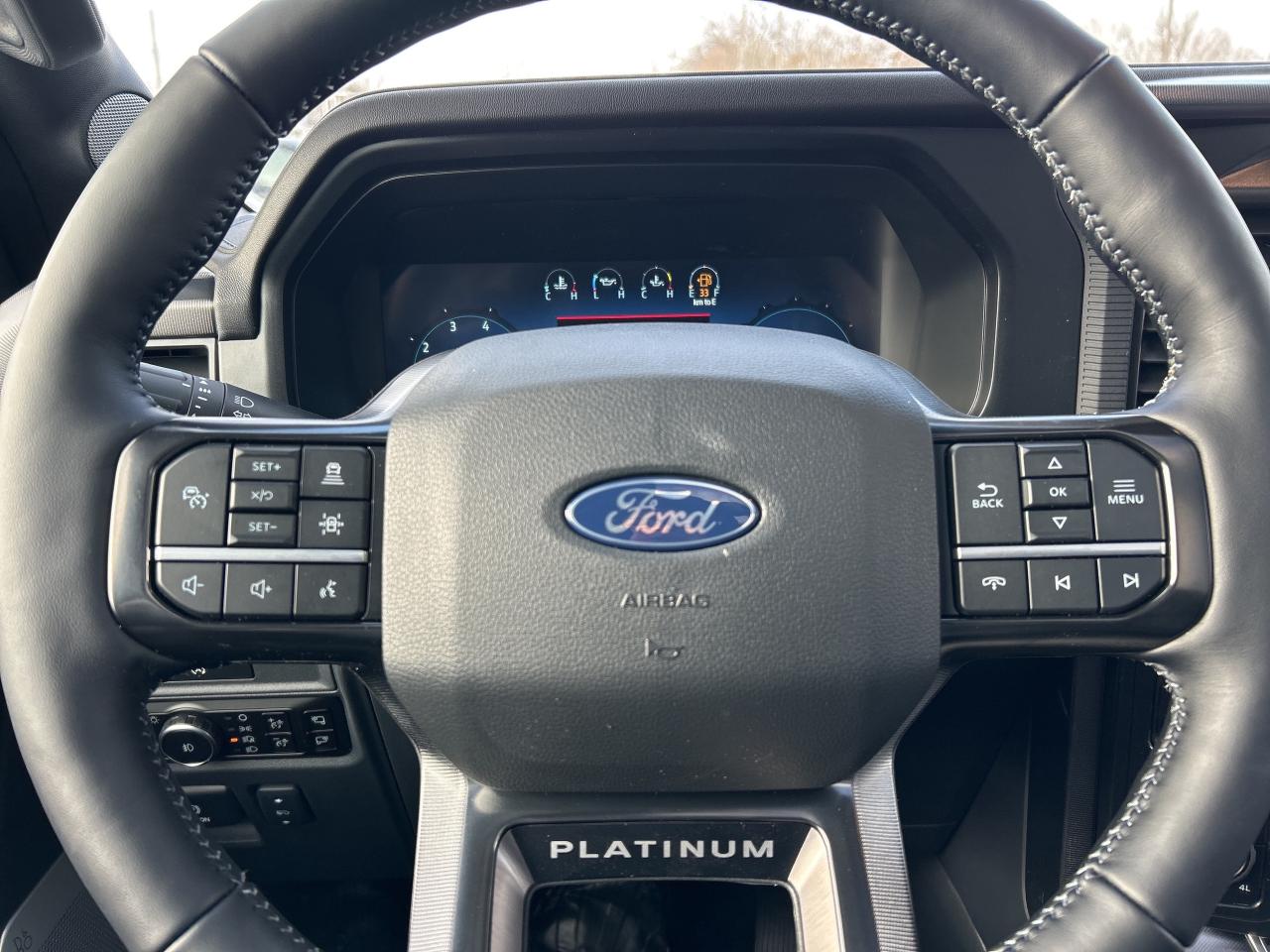 2025 Ford F-150 Platinum  - Bed Liner Photo
