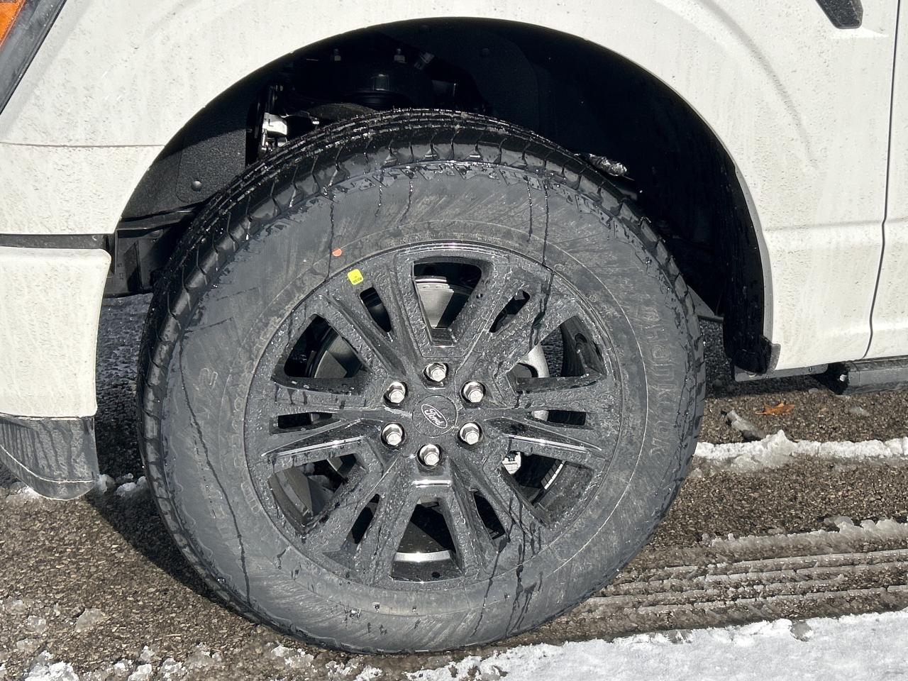 2025 Ford F-150 Platinum  - Bed Liner Photo