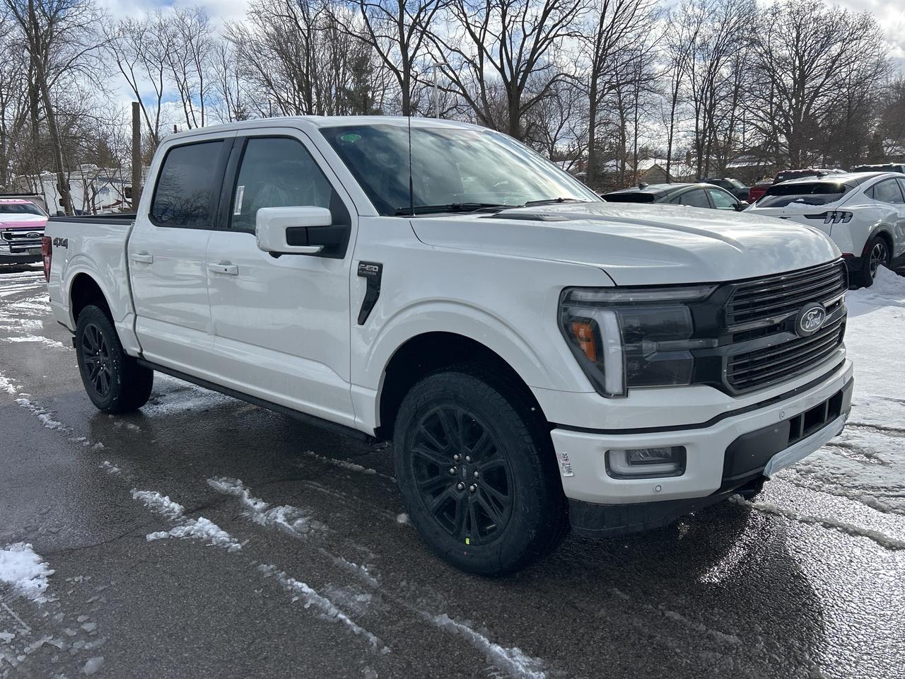 2025 Ford F-150 Platinum  - Bed Liner Photo2