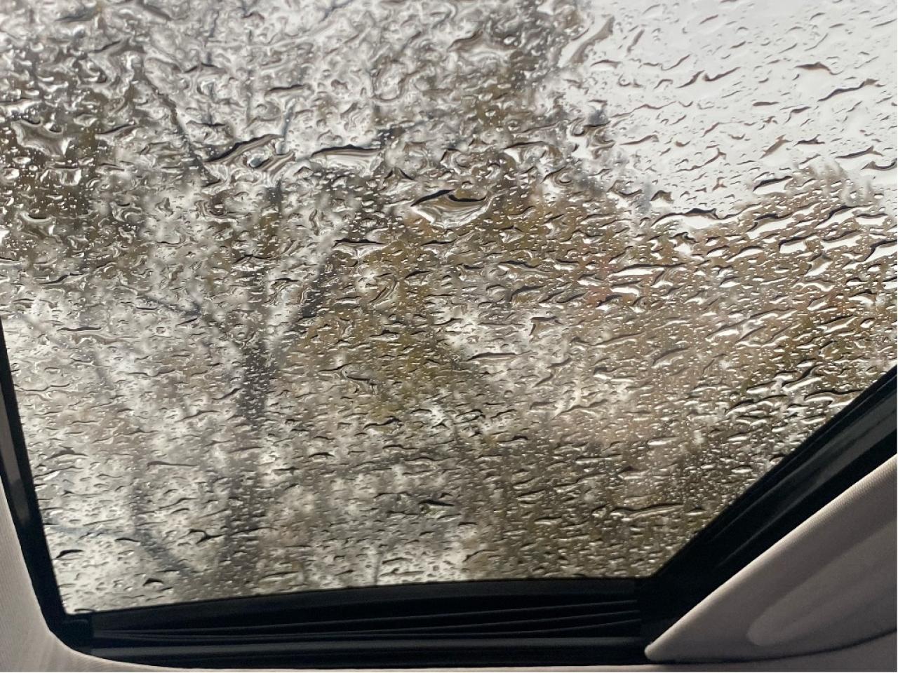 2016 Ford Fusion SE Photo