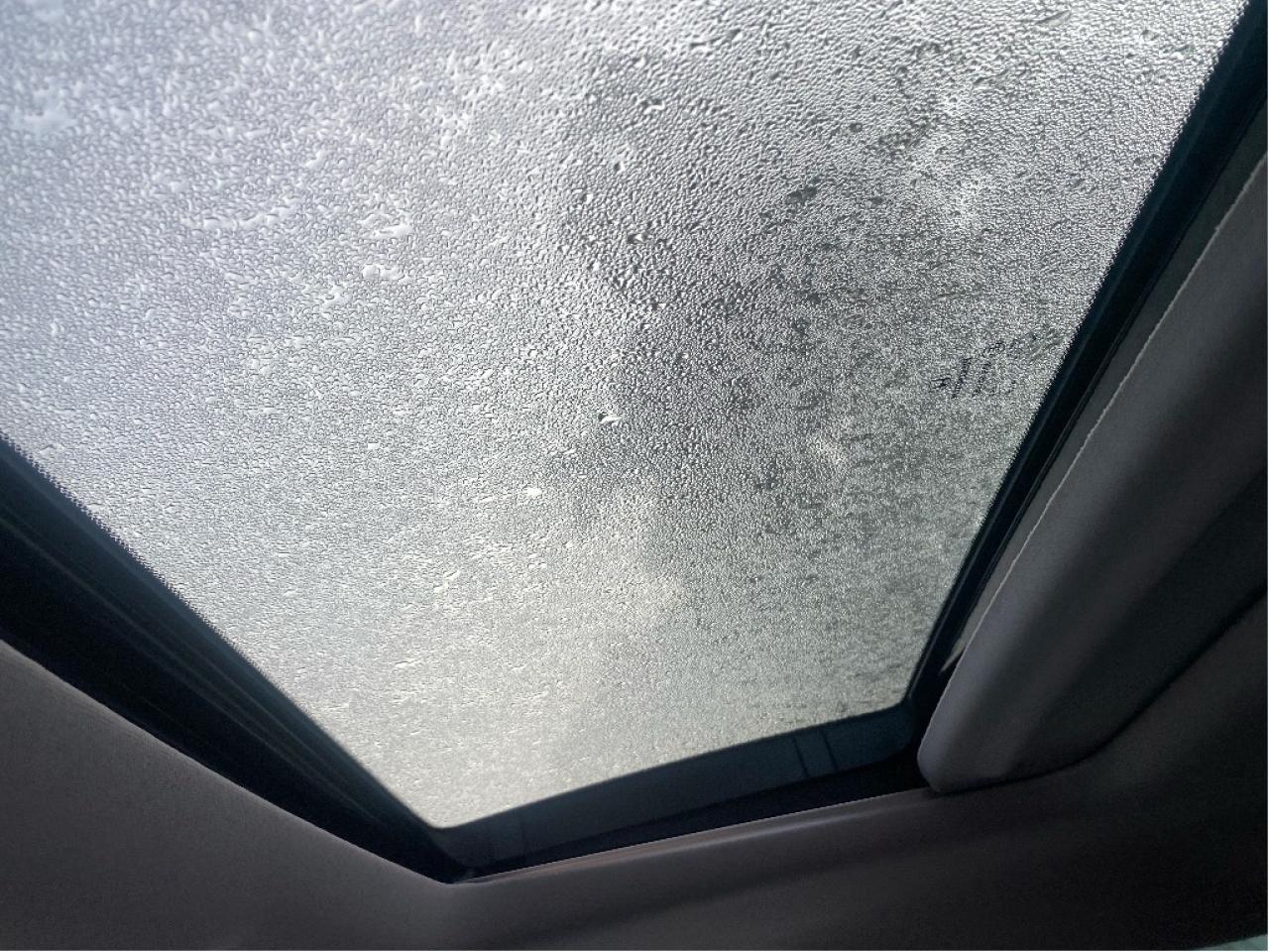 2019 Honda Odyssey EX-L RES Photo